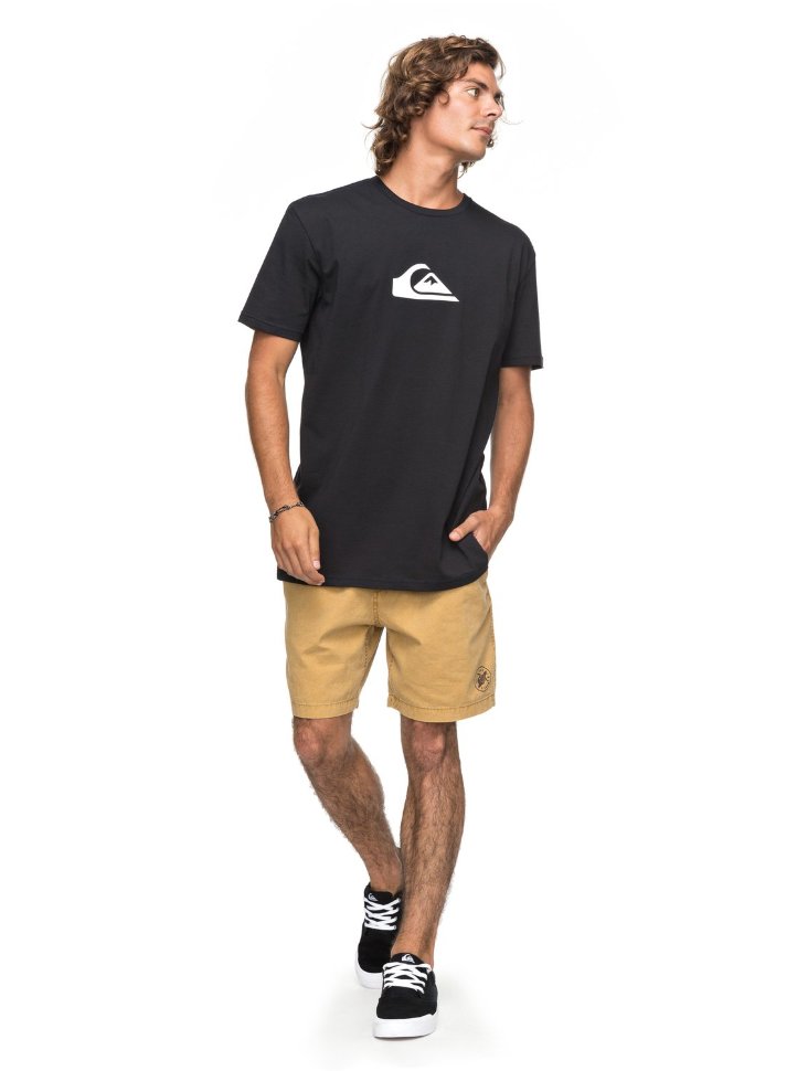 Футболка мужская QUIKSILVER Classiccomplogo M Black фото 2