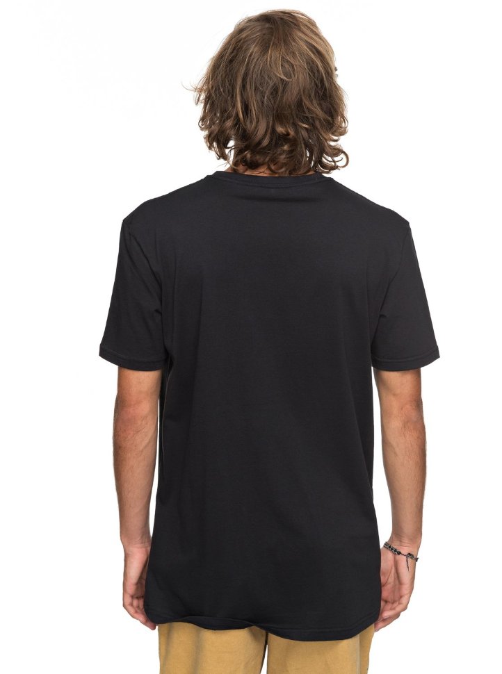 Футболка мужская QUIKSILVER Classiccomplogo M Black фото 3
