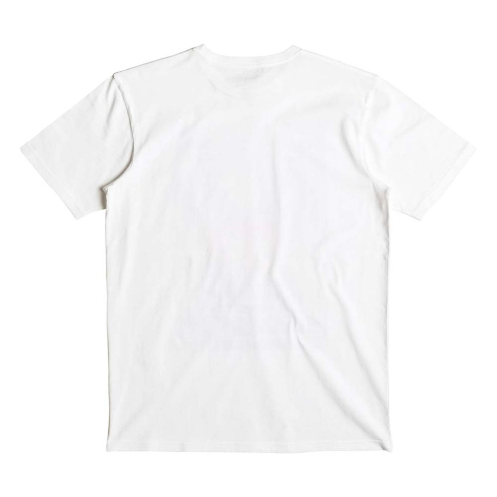 Футболка мужская QUIKSILVER Flaxtonbuiltstr M White фото 2