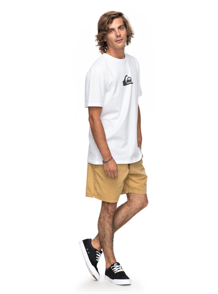 Футболка мужская QUIKSILVER Classiccomplogo M White фото 2
