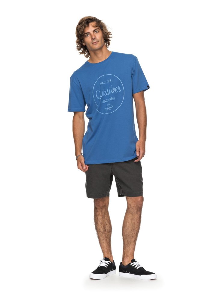 Футболка мужская QUIKSILVER Clmornslides M Bright Cobalt фото 2