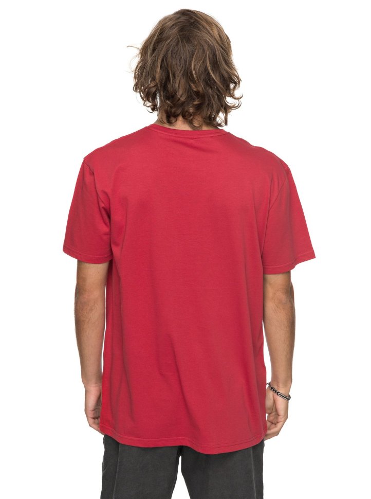 Футболка мужская QUIKSILVER Clmornslides M Chili Pepper фото 3