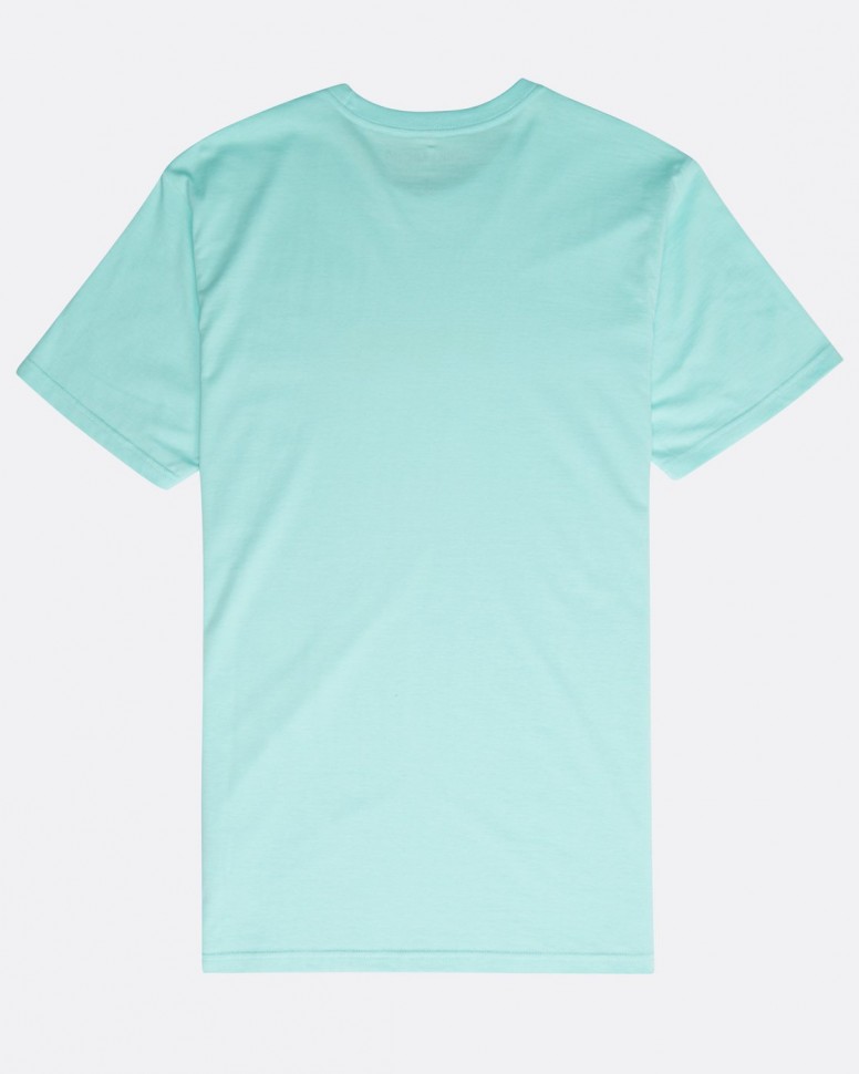 Футболка мужская BILLABONG Team Wave Team Tee S Spearmint фото 2