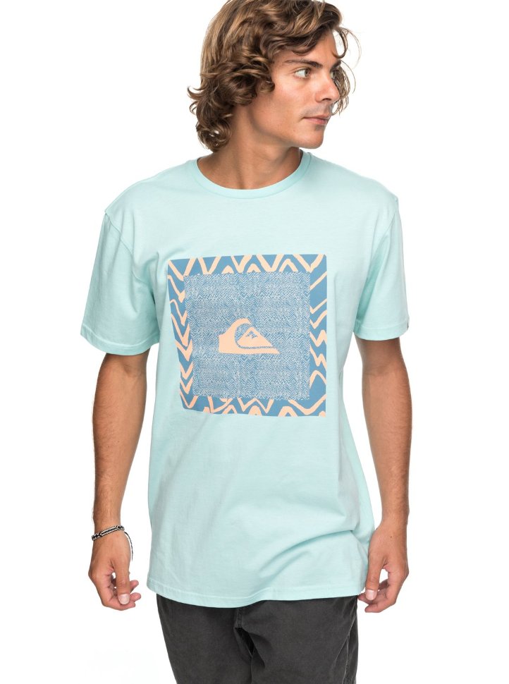 Футболка мужская QUIKSILVER Classicnanospan M Eggshell Blue
