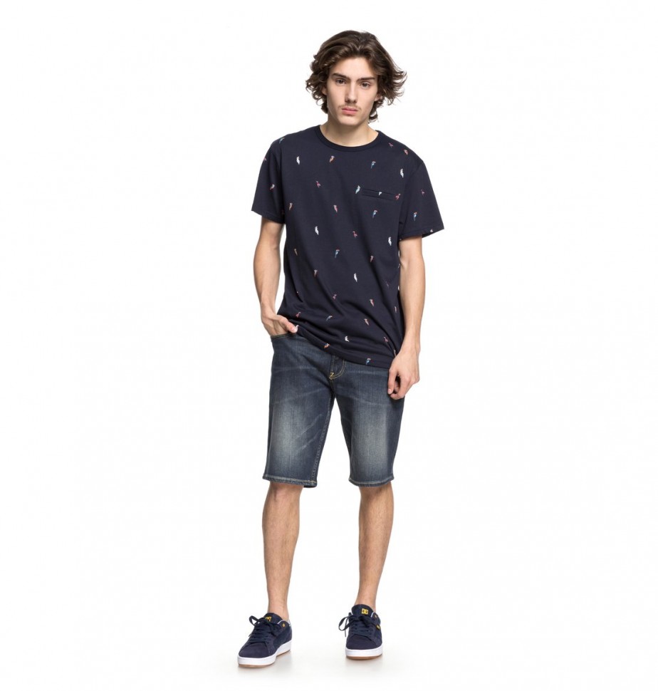 Футболка мужская DC SHOES 2Can Ss M Dark Indigo Toucan фото 2