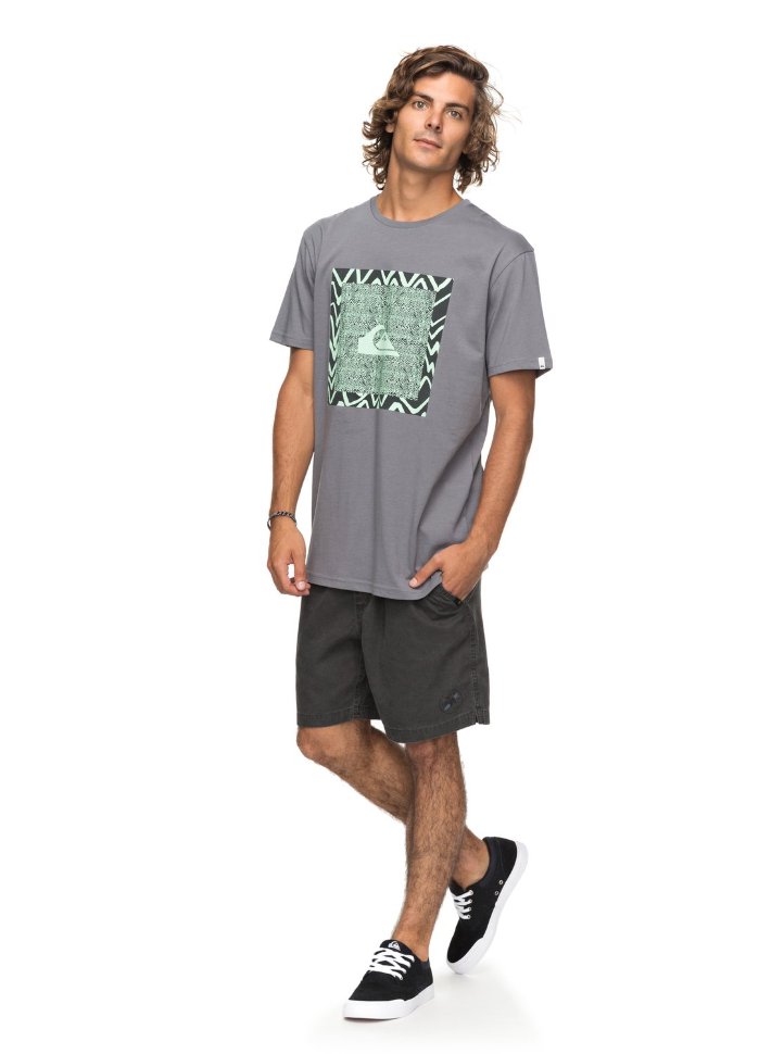 Футболка мужская QUIKSILVER Classicnanospan M Quiet Shade фото 2