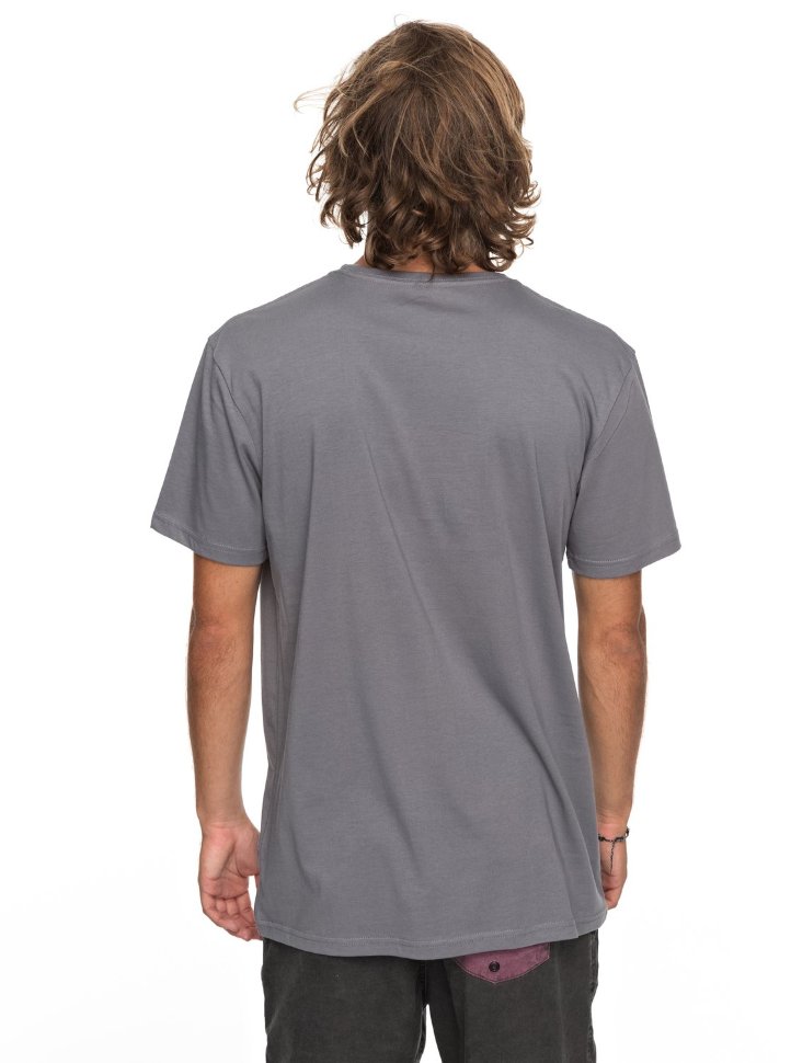 Футболка мужская QUIKSILVER Classicnanospan M Quiet Shade фото 3
