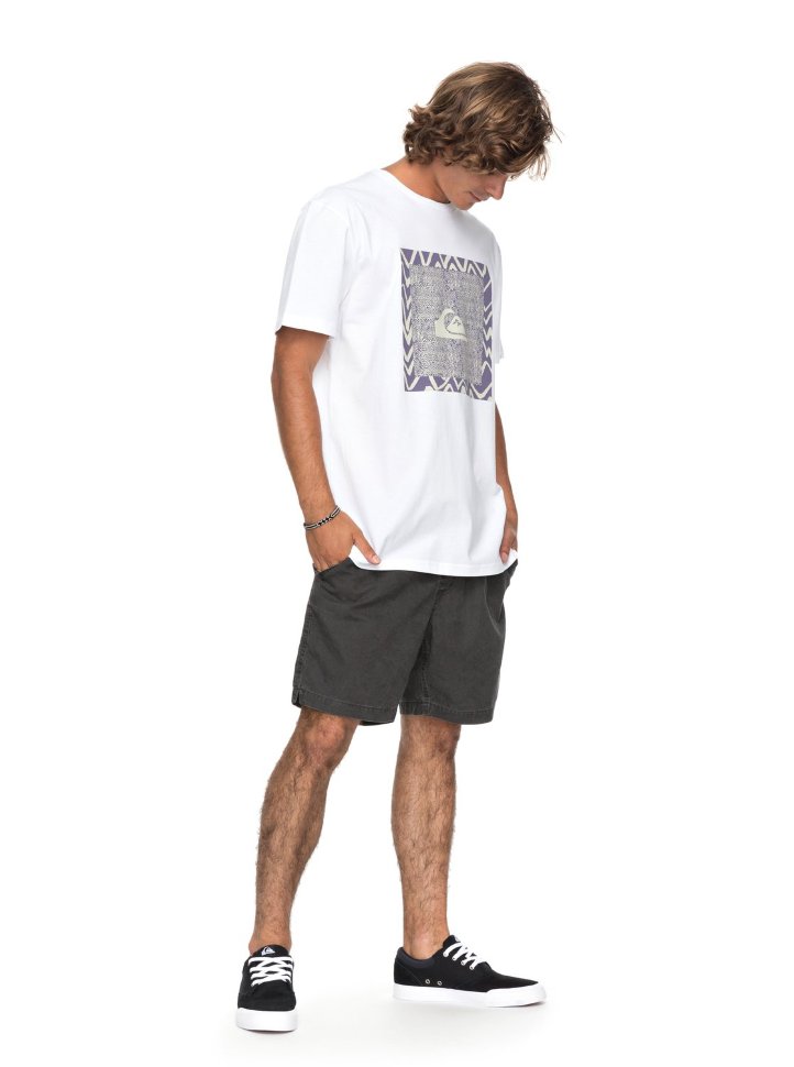 Футболка мужская QUIKSILVER Classicnanospan M White фото 2