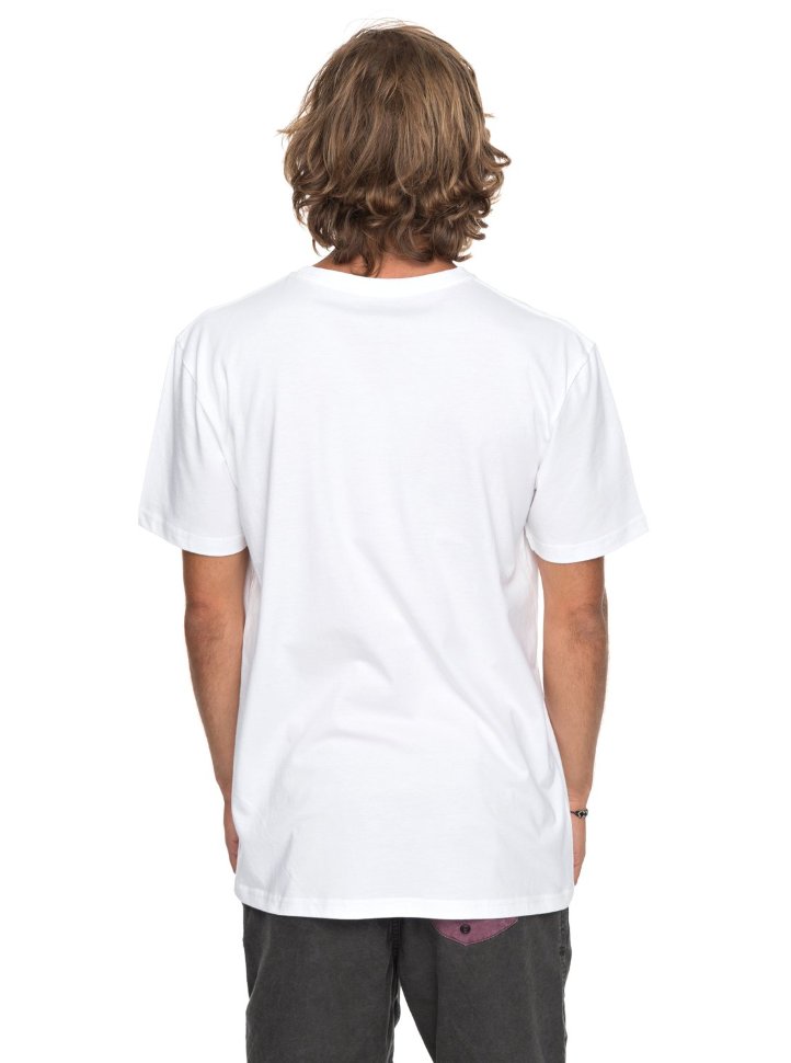Футболка мужская QUIKSILVER Classicnanospan M White фото 3
