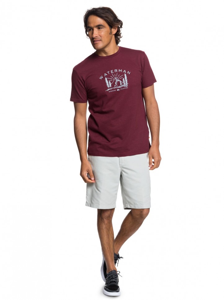 Футболка QUIKSILVER Backtonature M Tawny Port фото 2
