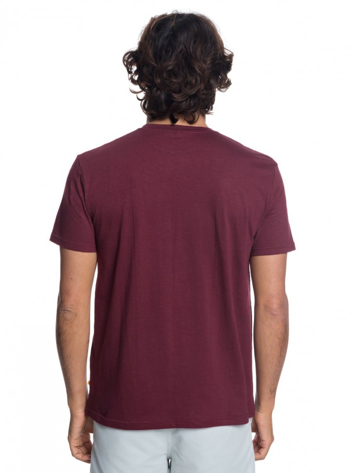 Футболка QUIKSILVER Backtonature M Tawny Port фото 3