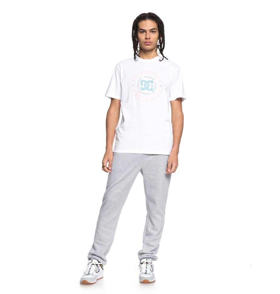 Футболка мужская DC SHOES Endless Frontie M Snow White фото 2