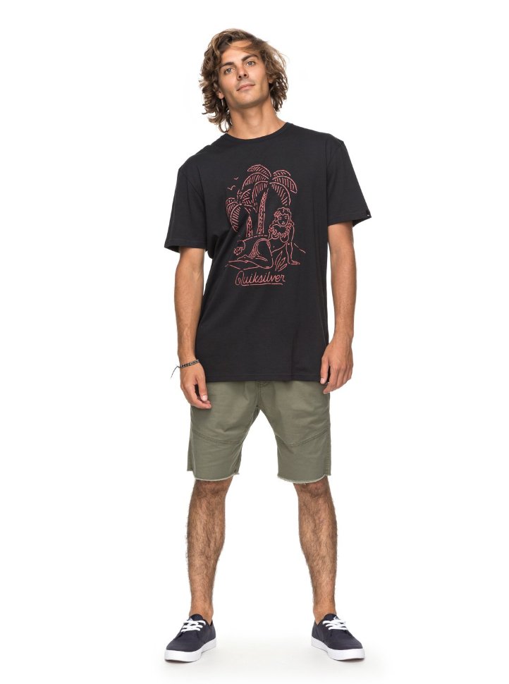 Футболка мужская QUIKSILVER Classjustsayin M Black фото 2