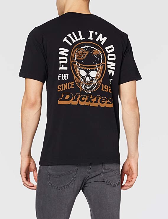 Футболка DICKIES Statham Mens Tshirt Black 2020 фото 2