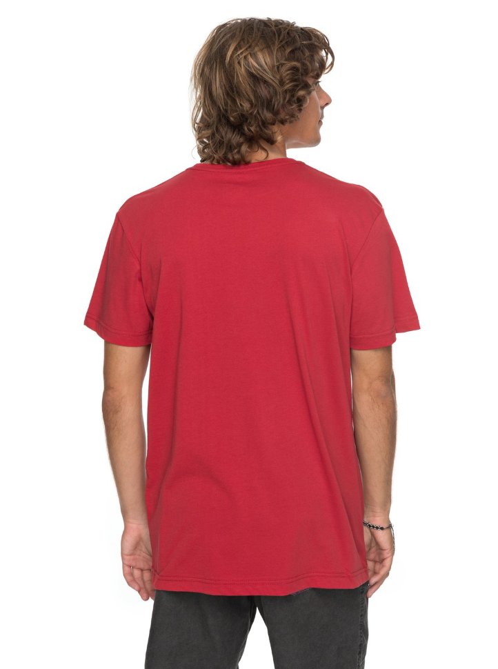 Футболка мужская QUIKSILVER Ssclassirevenge M Chili Pepper фото 3