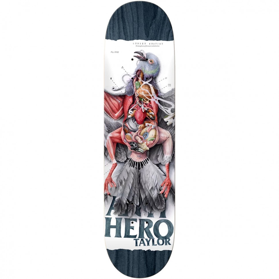 Дека для скейтборда ANTI-HERO Brd Taylor Strt Anatomy 8.5 дюйм