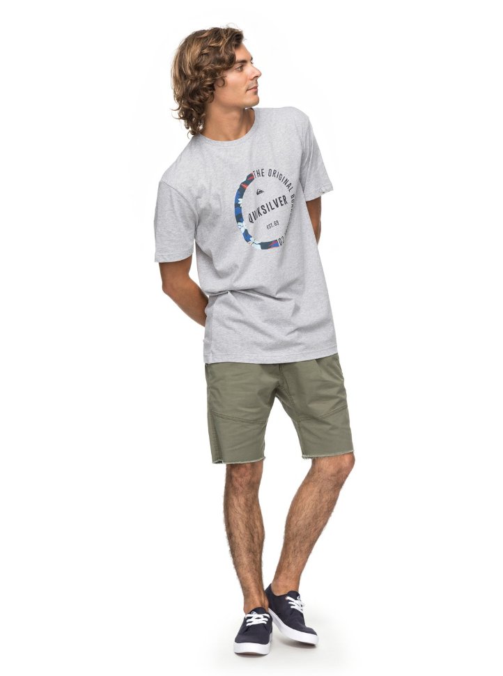 Футболка мужская QUIKSILVER Ssclassirevenge M Athletic Heather фото 2