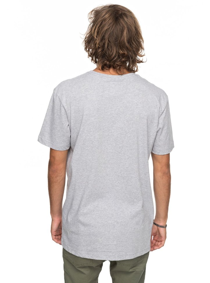 Футболка мужская QUIKSILVER Ssclassirevenge M Athletic Heather фото 3