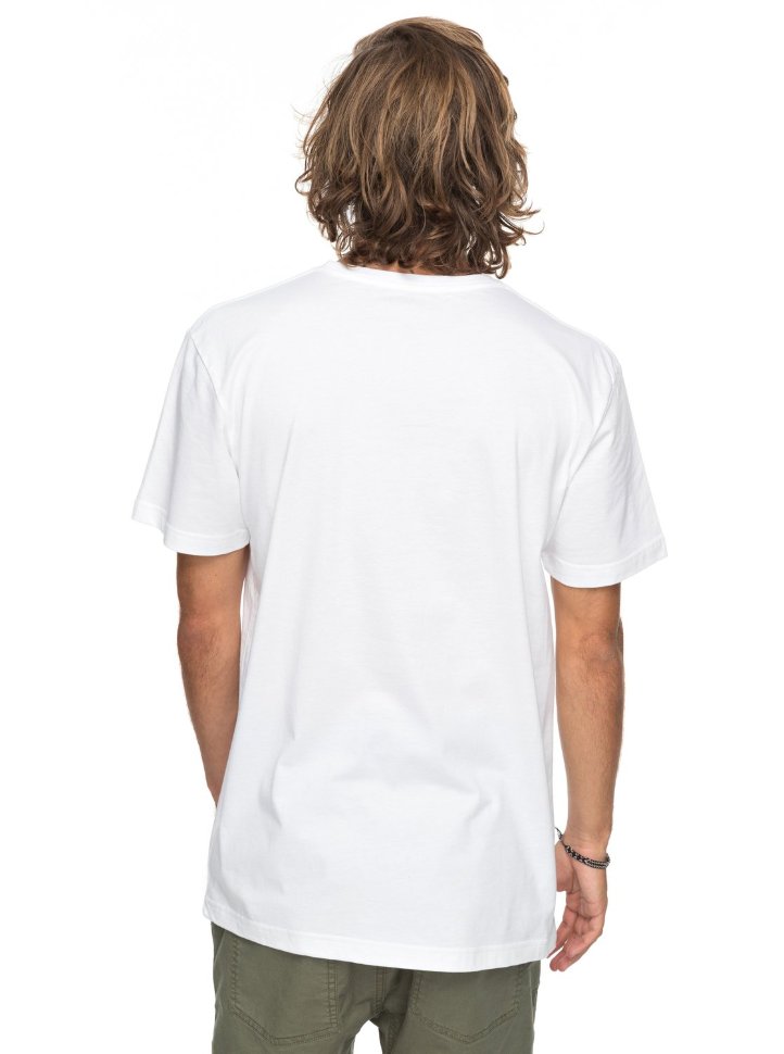 Футболка мужская QUIKSILVER Ssclassirevenge M White фото 3