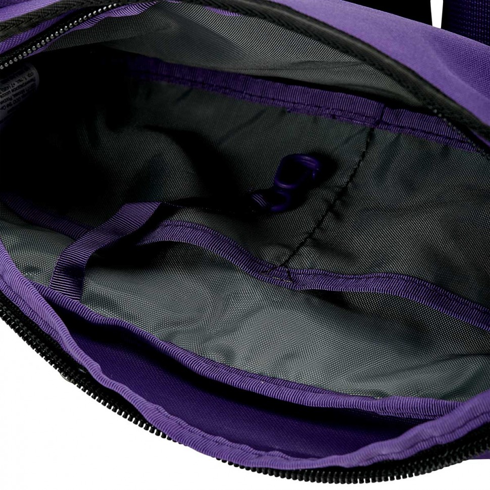 Сумка на пояс THE NORTH FACE Bozer Hip Pack Ii Heroprpl/Tnf фото 3