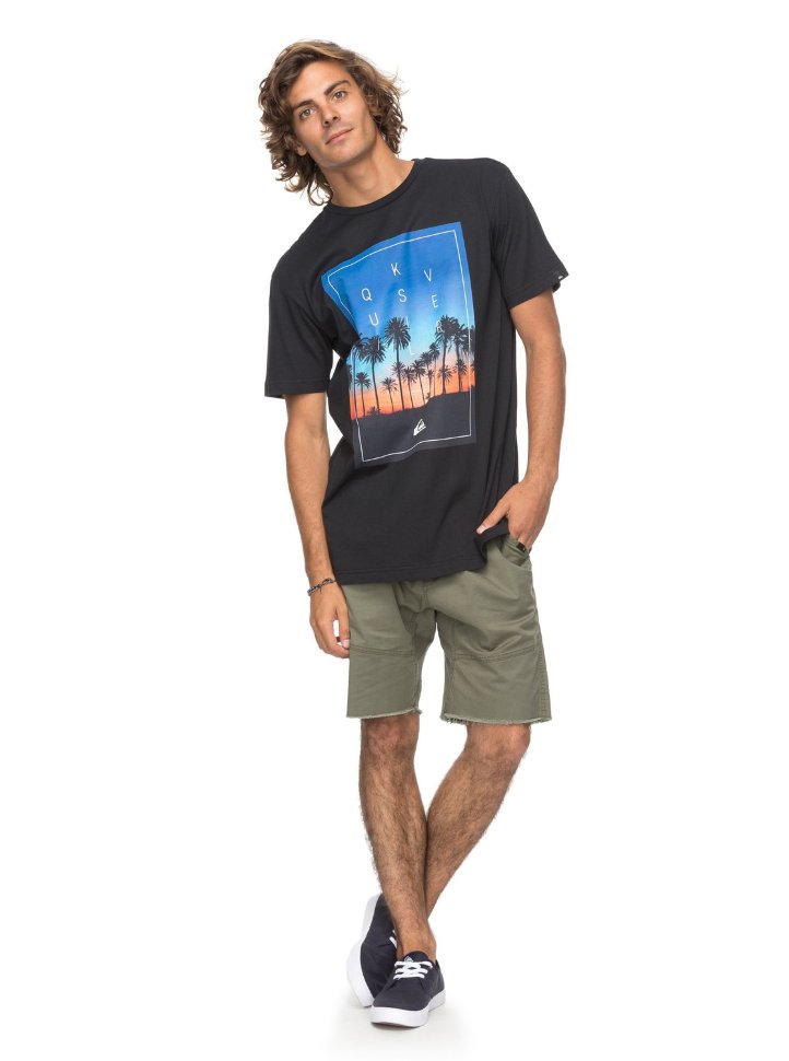 Футболка мужская QUIKSILVER Classalinastars M Black фото 2