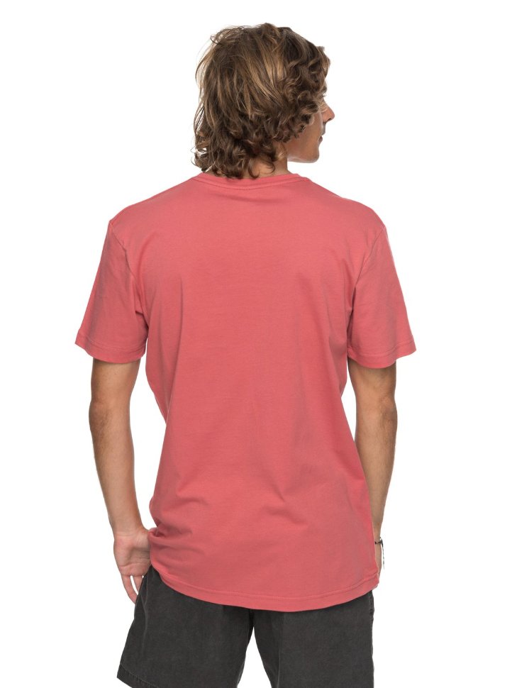 Футболка мужская QUIKSILVER Classalinastars M Mineral Red фото 3