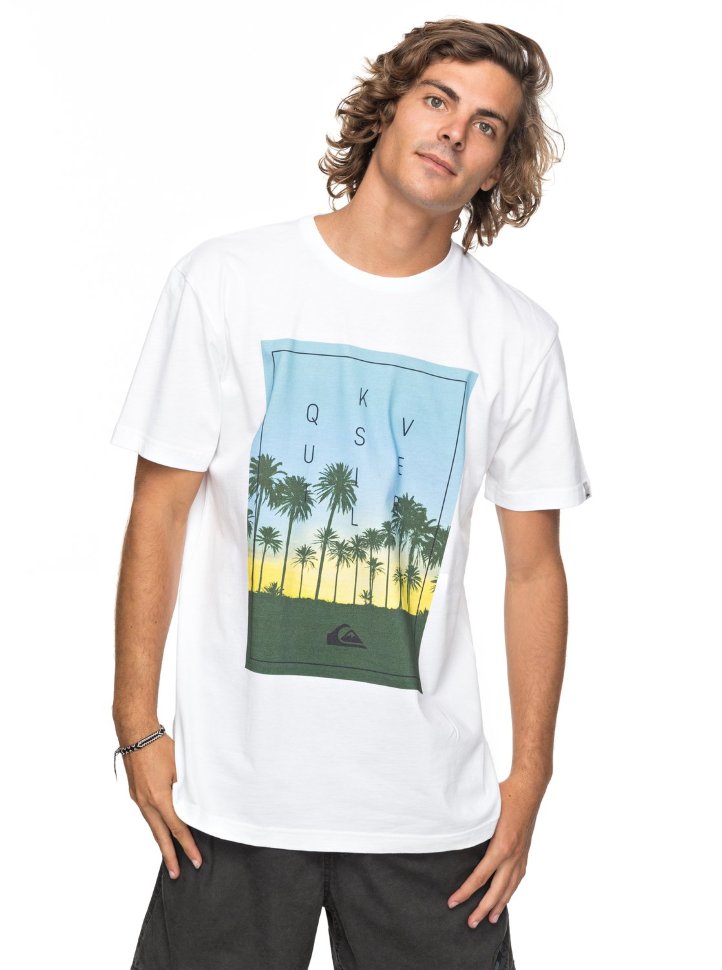Футболка мужская QUIKSILVER Classalinastars M White