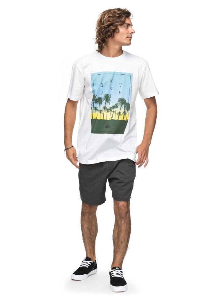 Футболка мужская QUIKSILVER Classalinastars M White фото 2