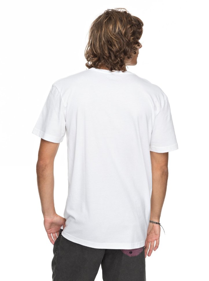 Футболка мужская QUIKSILVER Classalinastars M White фото 3