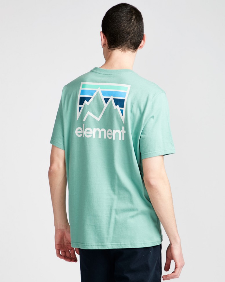 Футболка мужская ELEMENT Joint Ss Feldspar фото 2