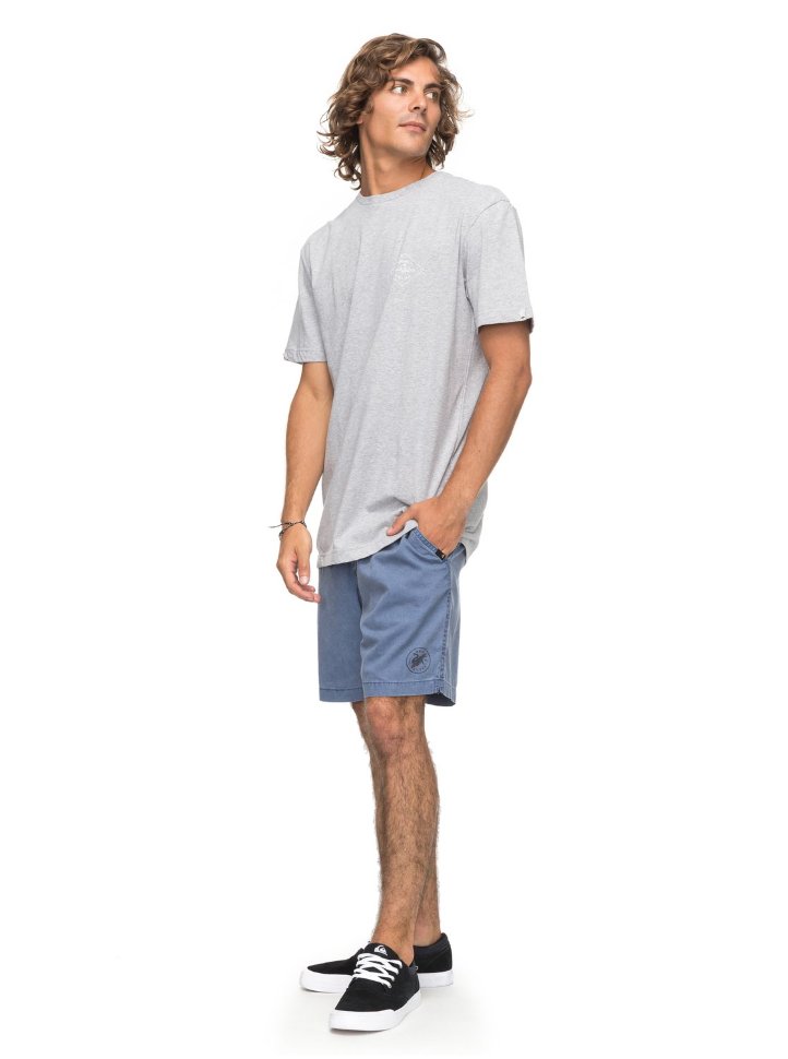 Футболка мужская QUIKSILVER Ssclaamethyst M Athletic Heather фото 2