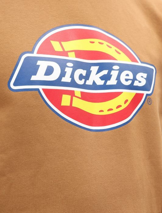 Худи DICKIES San Antonio Regular Hoody Brown Duck 2020 фото 4