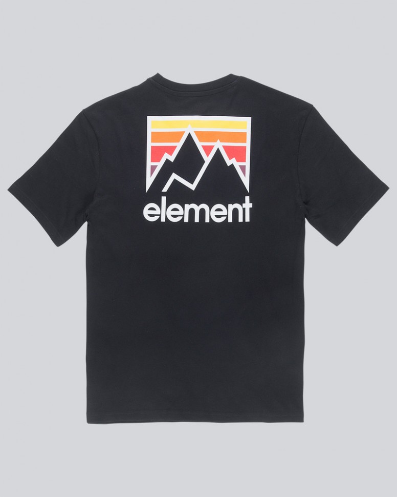 Футболка мужская ELEMENT Joint Ss Flint Black фото 4