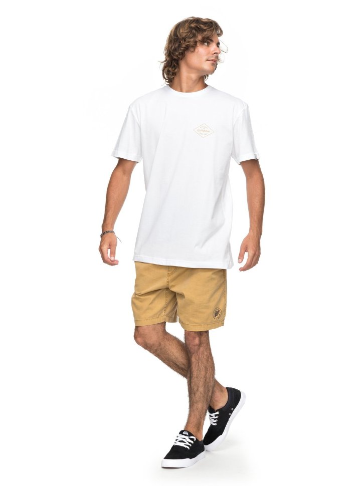 Футболка мужская QUIKSILVER Ssclaamethyst M White фото 2