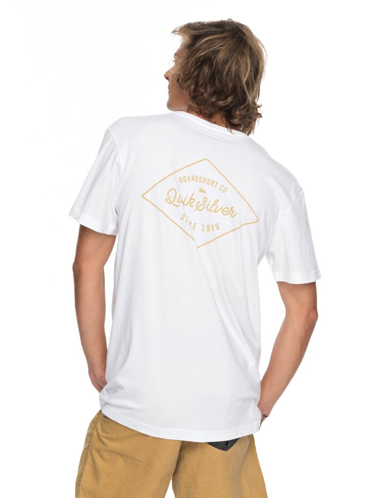 Футболка мужская QUIKSILVER Ssclaamethyst M White фото 3