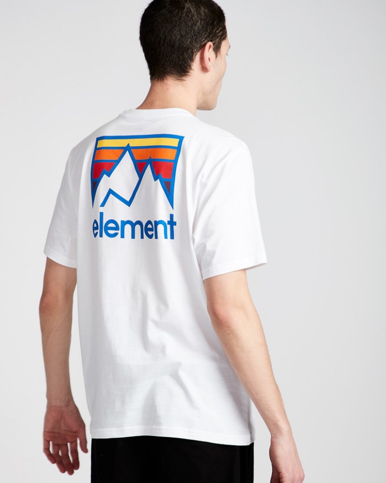 Футболка мужская ELEMENT Joint Ss Optic White фото 2