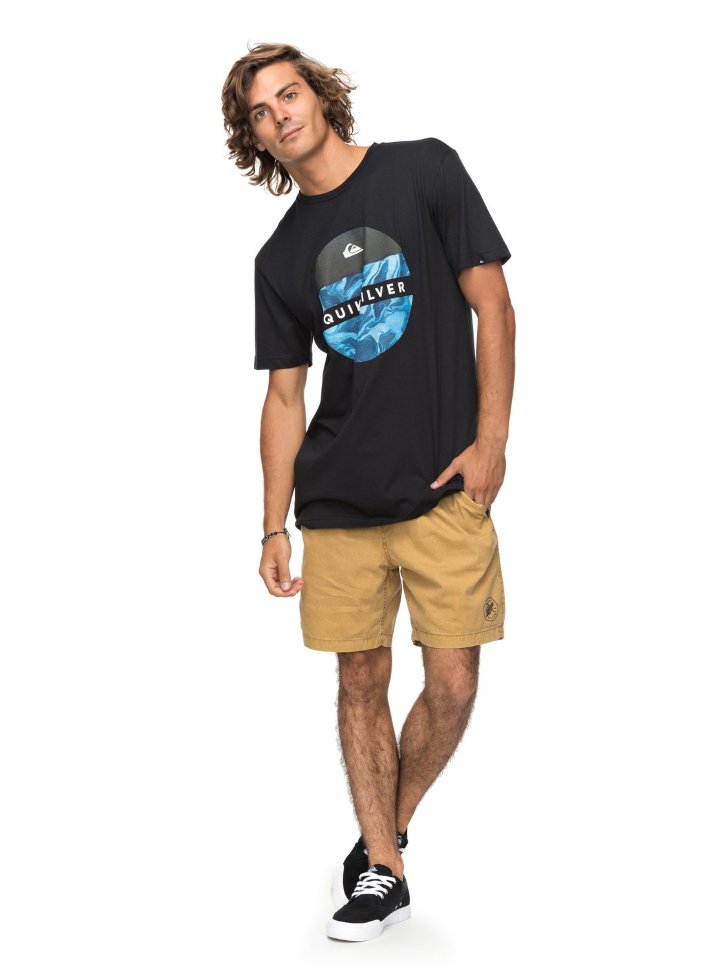 Футболка мужская QUIKSILVER Ssclasouterhack M Black фото 2