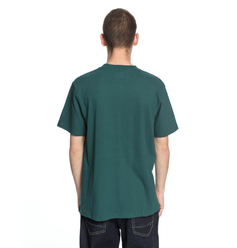 Футболка мужская DC SHOES Cycle Line Ss M June Bug фото 4