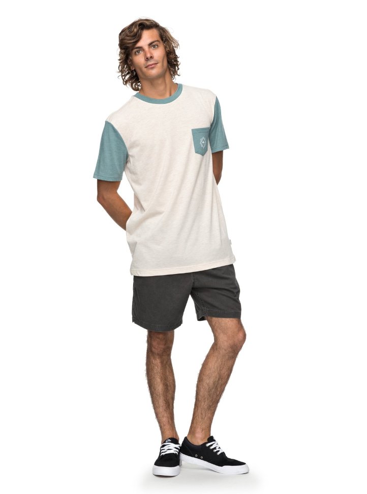 Футболка мужская QUIKSILVER Baysicpocket M Birch фото 2