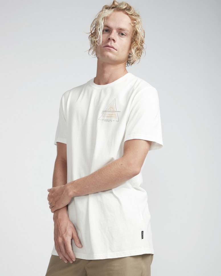 Футболка мужская BILLABONG Prismboard Te Ss Bone фото 4