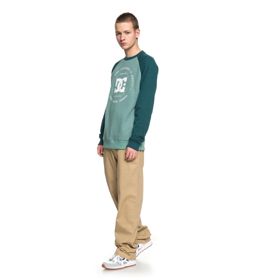 Джемпер мужской DC SHOES Rebuilt Crew Ra M June Bug/ Deep Sea фото 2