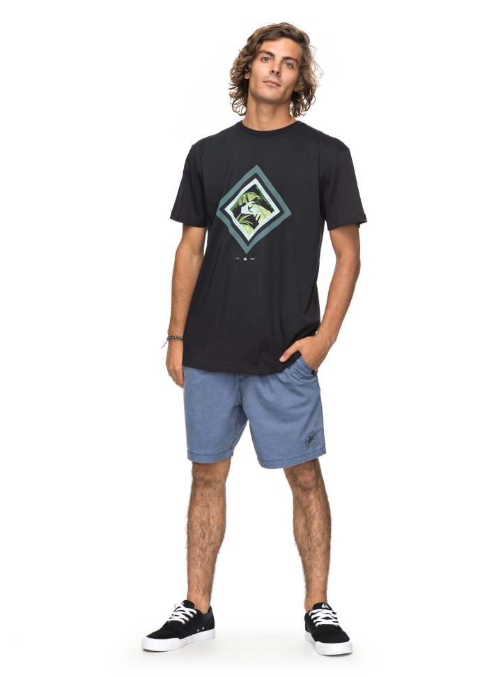 Футболка мужская QUIKSILVER Ssclacrimskyli M Black фото 2