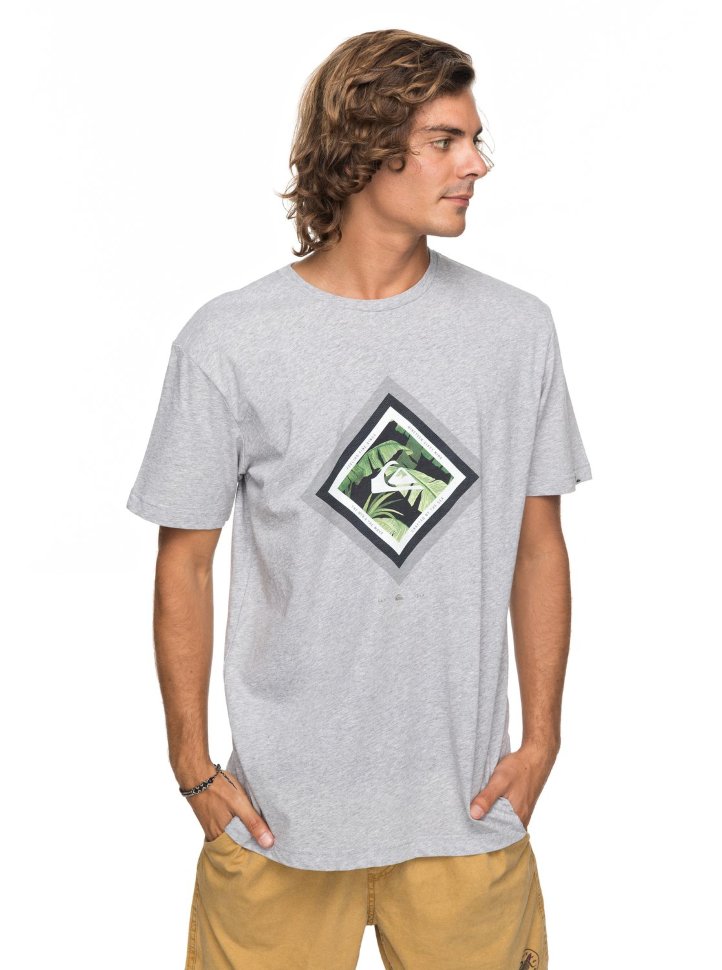 Футболка мужская QUIKSILVER Ssclacrimskyli M Athletic Heather