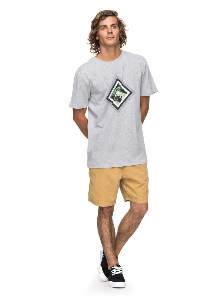 Футболка мужская QUIKSILVER Ssclacrimskyli M Athletic Heather фото 2
