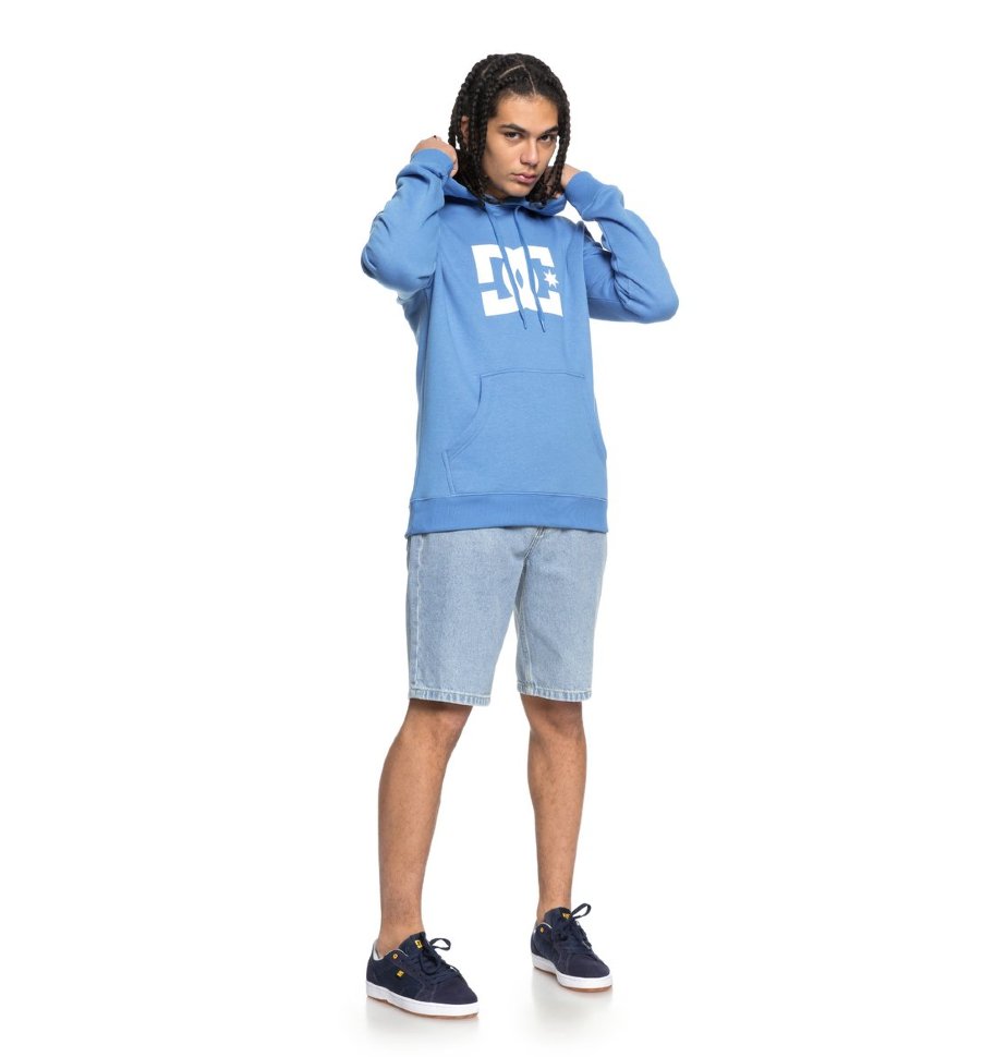 Джемпер мужской DC SHOES Star Ph M Campanula/ Snow White фото 2