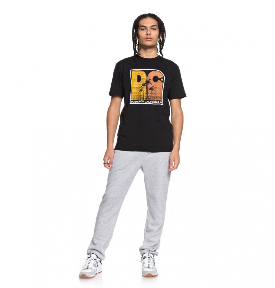 Футболка мужская DC SHOES Sunset Palms Ss M Black фото 2