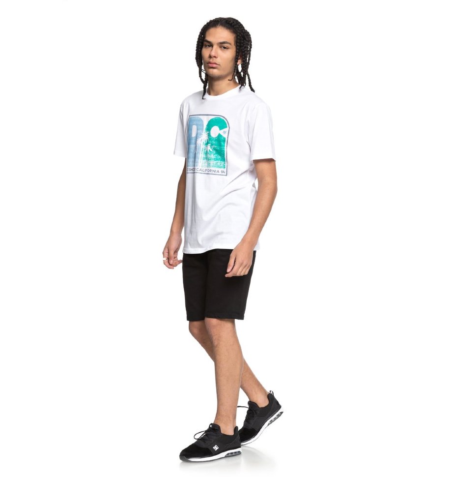 Футболка мужская DC SHOES Sunset Palms Ss M Snow White фото 2