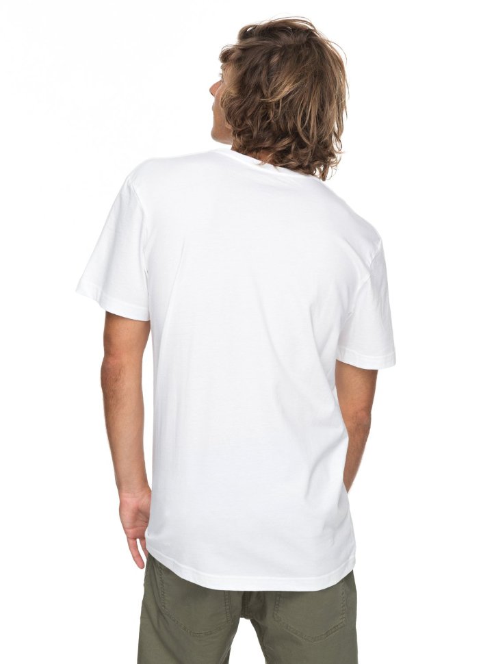 Футболка мужская QUIKSILVER Ssclakahu M White фото 3