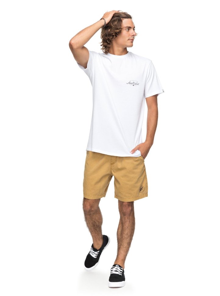 Футболка мужская QUIKSILVER Ssclaberaway M White фото 2
