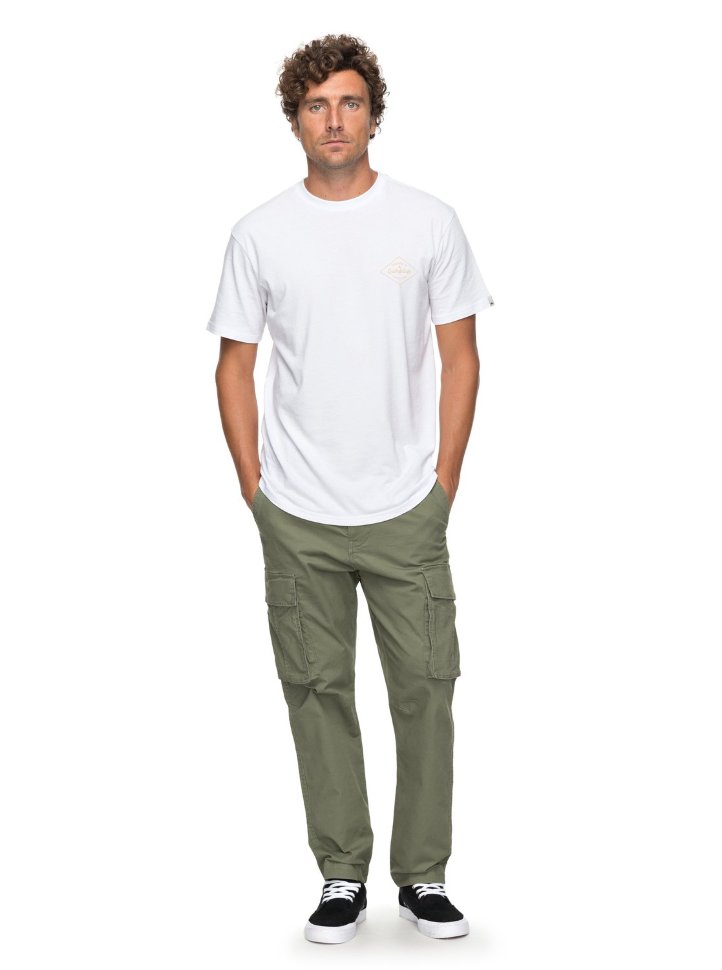 Брюки мужские QUIKSILVER Svenka M Four Leaf Clover фото 3